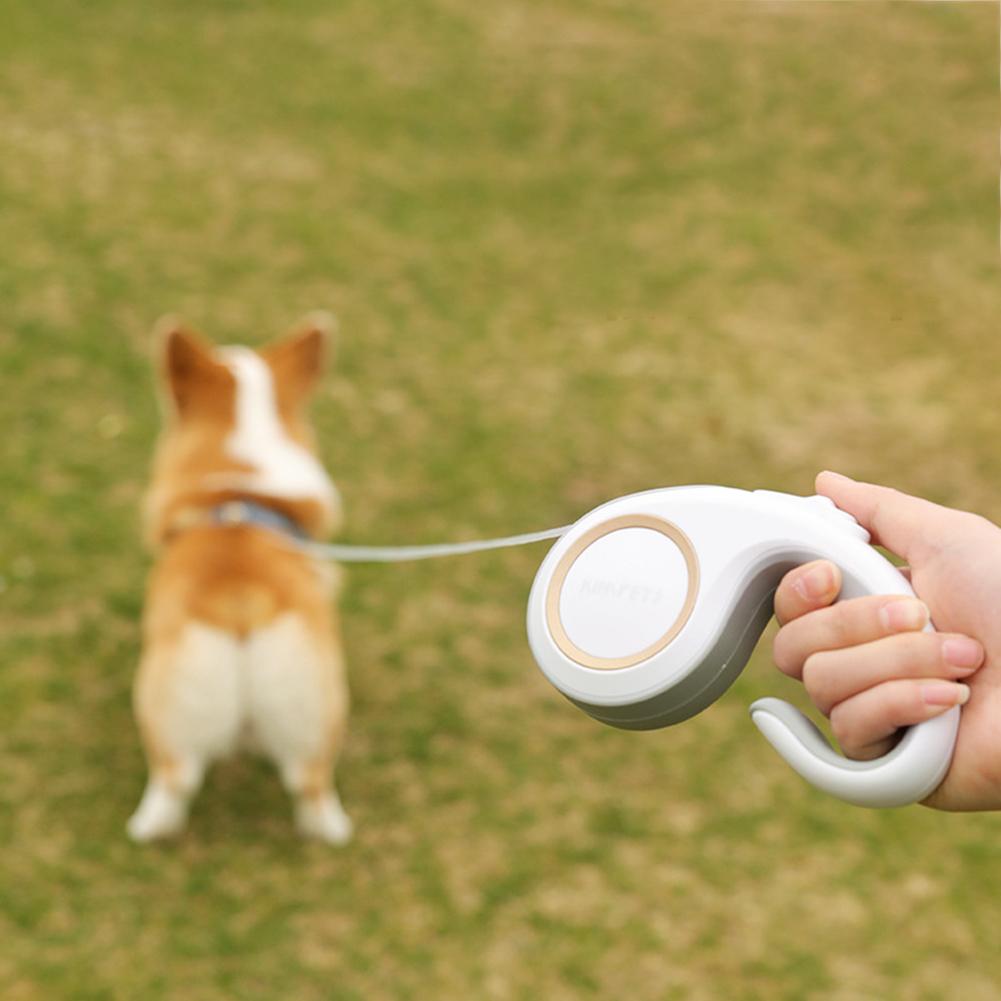 Mikey's 3M retractable Dog Leash